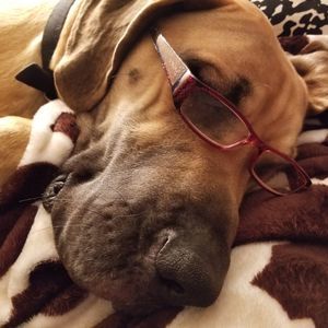 Meet your Posher, Eddie